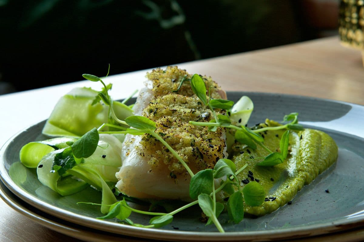 Cooked cod with fennel and green purée; illustrative plating without this recipe’s chickpeas and spinach